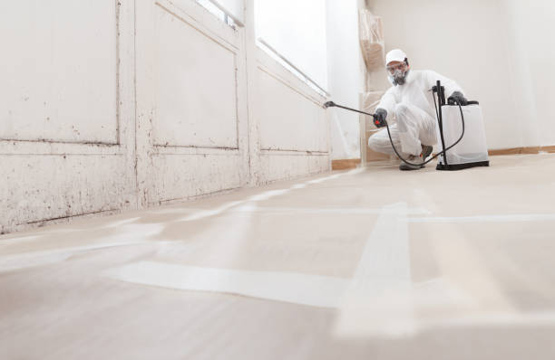 24/7 Emergency Mold Remediation experts in Bonney Lake, WA