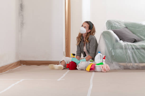 Reliable Mold Remediation contractor in Bonney Lake, WA by 24 Hour Mold Removal